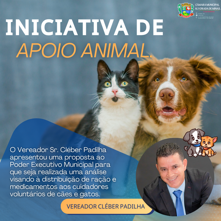 EM PROL DOS ANIMAIS DE RUA, EM NOSSO MUNICÍPIO. 